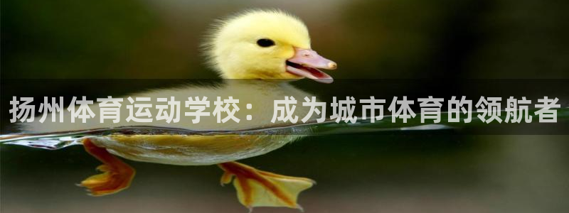 德国凯发官方正版app集团：扬州体育运动学校：成为城