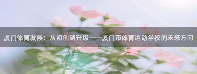凯发官方正版app新能源：厦门体育发展：从初创到升级