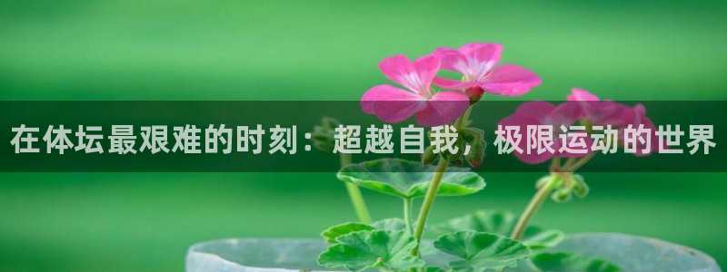 凯发官方正版app代理：在体坛最艰难的时刻：超越自我