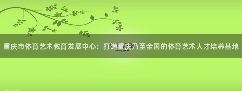 凯发官网下载平台注册流程视频：重庆市体育艺术教育发展