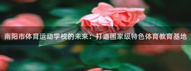 凯发官网下载招商电话地址：南阳市体育运动学校的未来：打造国家