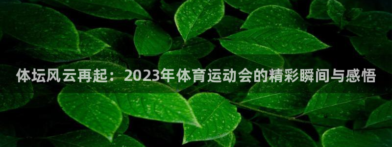 德国凯发官方正版app集团：体坛风云再起：2023年体育运动