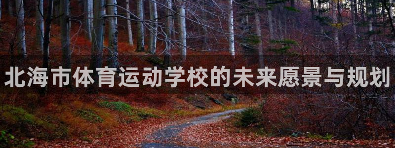 凯发官网下载开户：北海市体育运动学校的未来愿景与规划