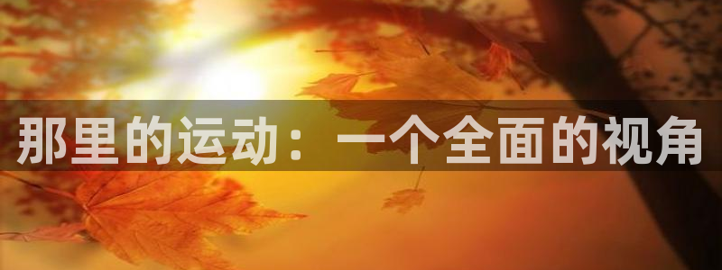 凯发官方正版app娱乐平台：那里的运动：一个全面的视角