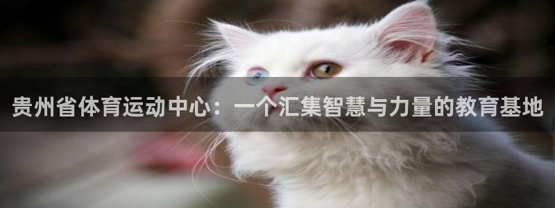 凯发官网下载平台注册要钱吗安全吗：贵州省体育运动中心：一个汇