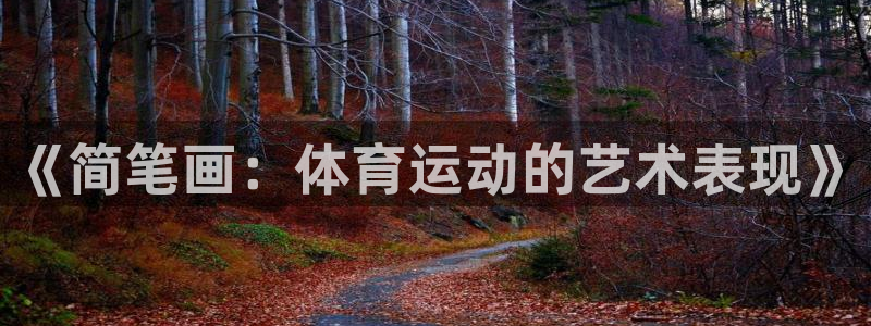 凯发官网下载平台注册要钱吗：《简笔画：体育运动的艺术