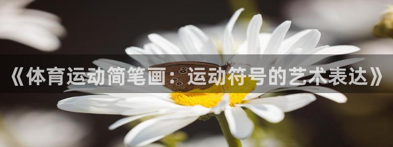 凯发官网下载招商电话是多少啊：《体育运动简笔画：运动符号的艺