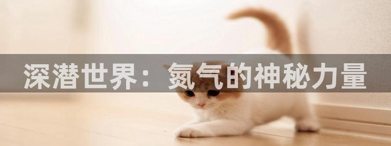 凯发官方正版app官网