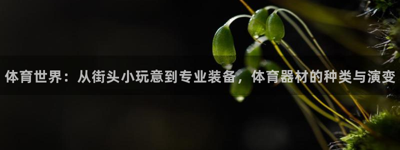 凯发官网下载娱乐：体育世界：从街头小玩意到专业装备，体育器材