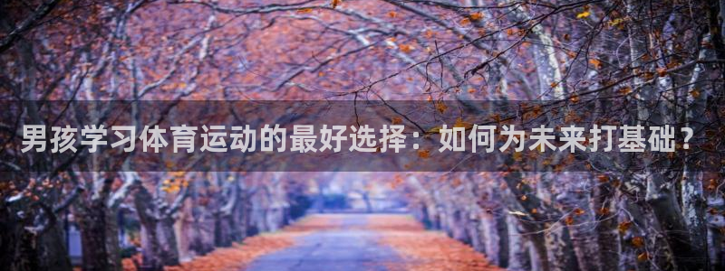 凯发官网下载平台假的吗是真的吗：男孩学习体育运动的最