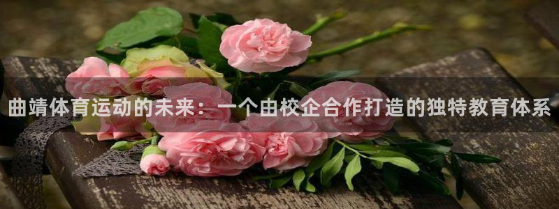 凯发官方正版app五金厂：曲靖体育运动的未来：一个由