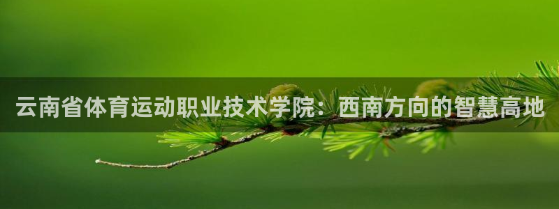 凯发官网下载平台是正规平台吗知乎：云南省体育运动职业技术学院