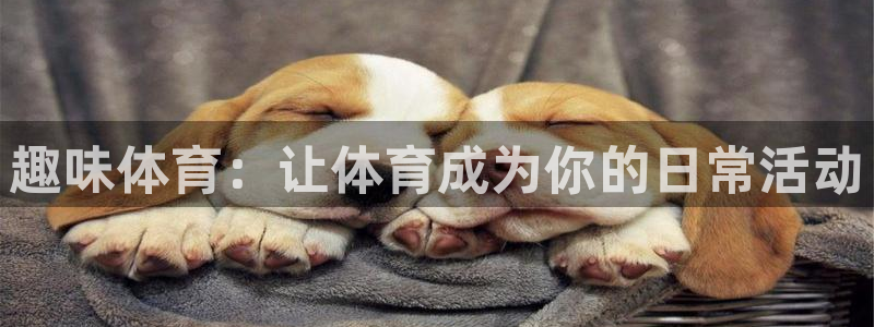凯发官方正版app科技：趣味体育：让体育成为你的日常