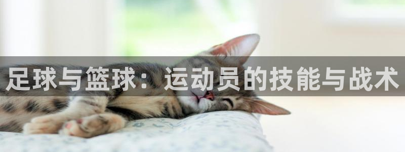 凯发官网下载招商电话号码是多少啊：足球与篮球：运动员的技能与
