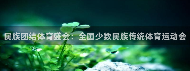 凯发官方正版app开户：民族团结体育盛会：全国少数民