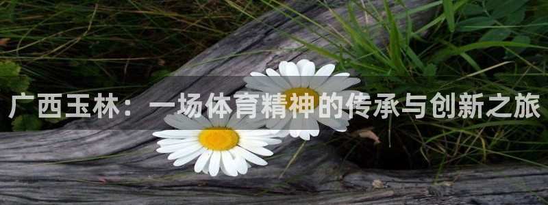凯发官网下载平台假的吗是真的吗：广西玉林：一场体育精神的传承