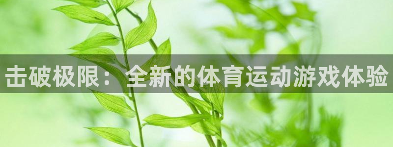 凯发官网下载招商电话号码：击破极限：全新的体育运动游戏体验