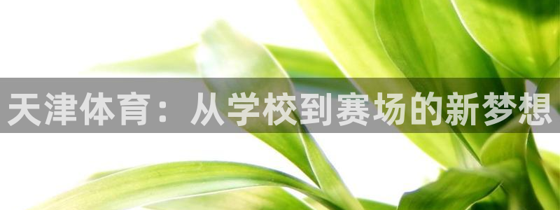 凯发官网下载招商电话是多少号码