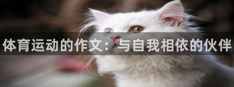 凯发官网下载招商电话号码查询是多少