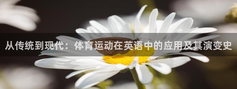 凯发官方正版app科技：从传统到现代：体育运动在英语中的应用