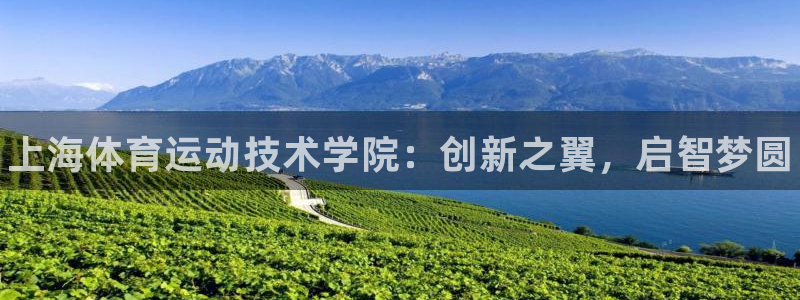 凯发官方正版app神州：上海体育运动技术学院：创新之翼，启智