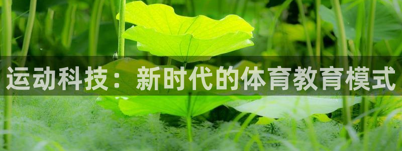 凯发官网下载娱乐