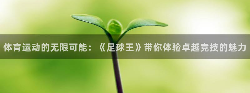 凯发官网下载招商