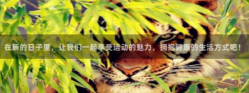 凯发官方正版app神州：在新的日子里，让我们一起享受运动的魅