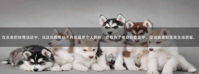 凯发官网下载注册