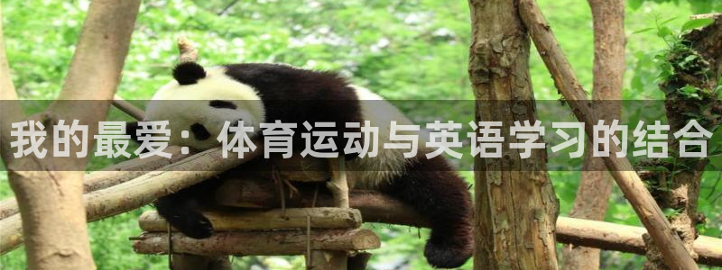 凯发官网下载软件:我的最爱:体育运动与英语学习的结合