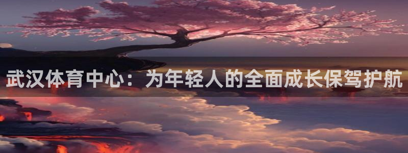 凯发官网下载招商电话是多少号码：武汉体育中心：为年轻人的全面