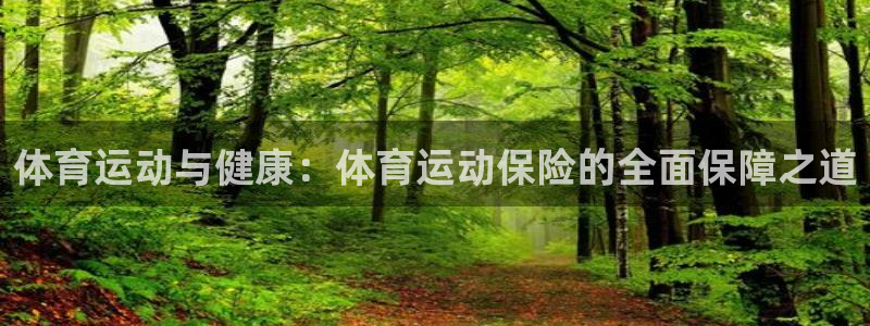 凯发官方正版app神州：体育运动与健康：体育运动保险的全面保