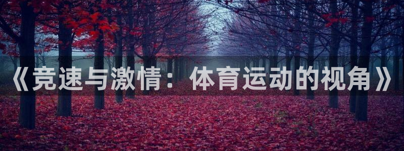 凯发官方正版app娱乐40996：《竞速与激情：体育运动的视