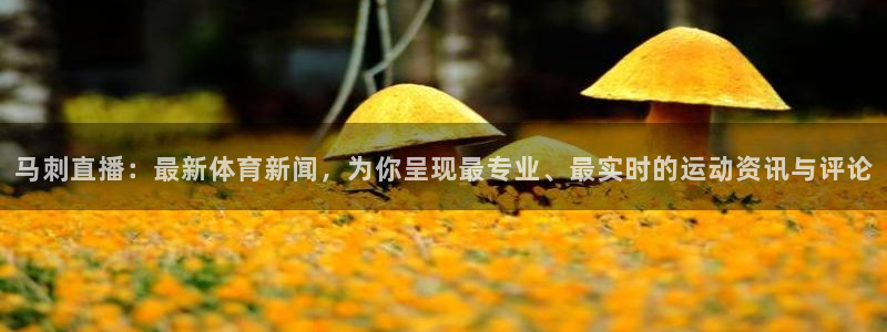松鼠体育在线直播视频：马刺直播：最新体育新闻，为你呈现最专业、最实时的运动资讯与评论