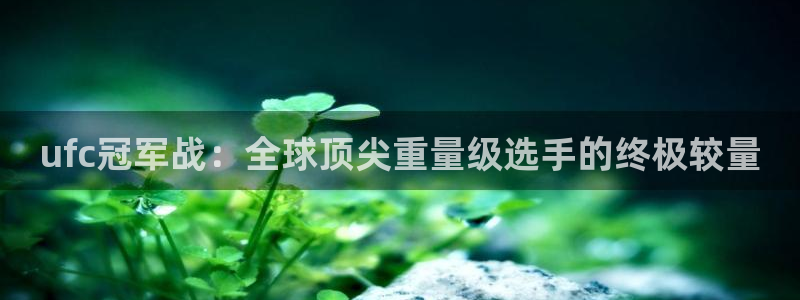 松鼠看球直播：ufc冠军战：全球顶尖重量级选手的终极较量