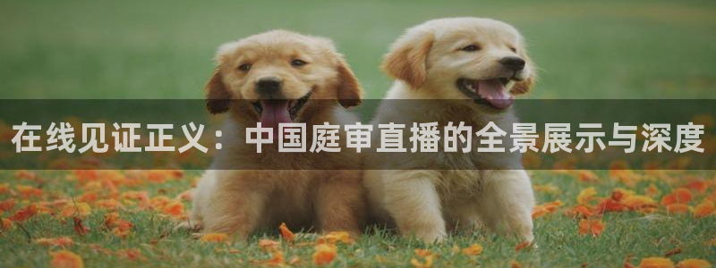 松鼠直播nba：在线见证正义：中国庭审直播的全景展示与深度
