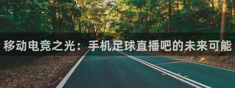 松鼠网官方下载：移动电竞之光：手机足球直播吧的未来可能