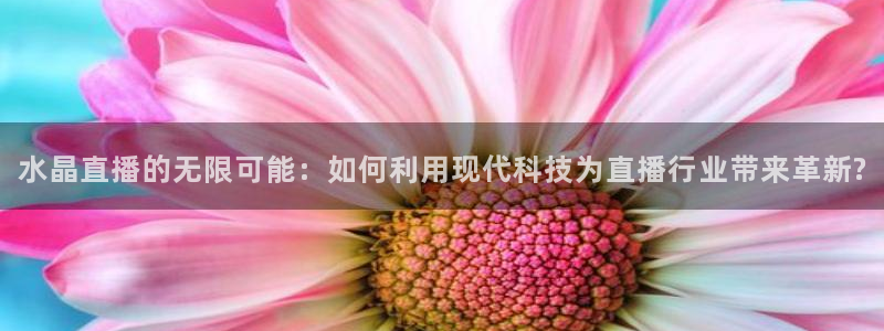 松鼠客户端：水晶直播的无限可能：如何利用现代科技为直播行业带来革新?